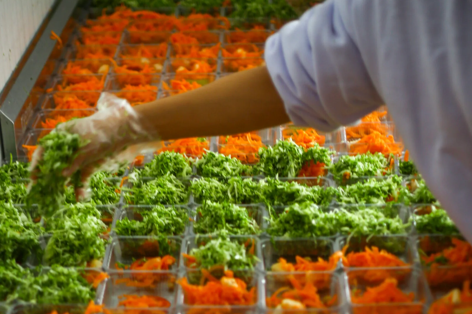 Alimentação Transportada